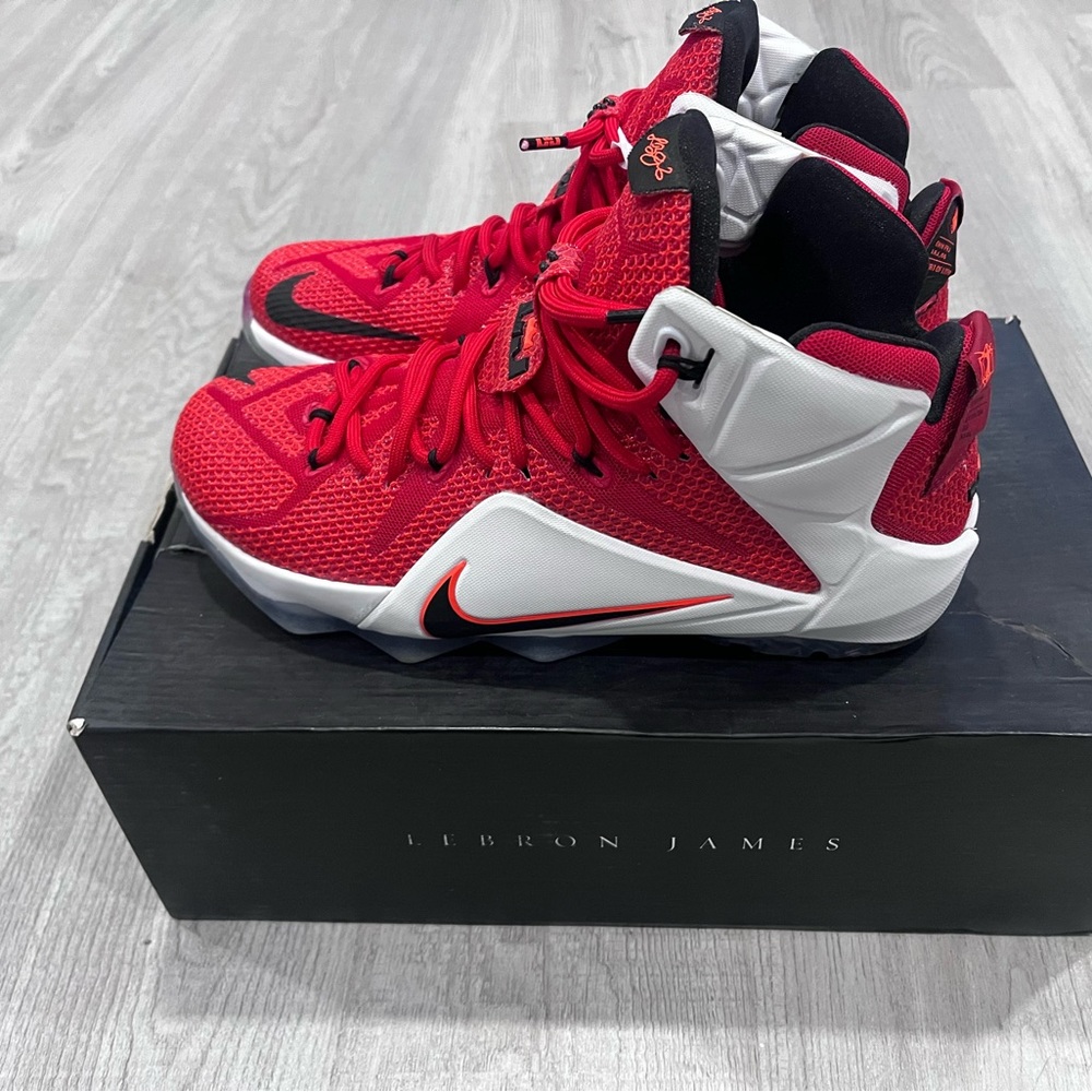 Lebron 12 heart of a lion